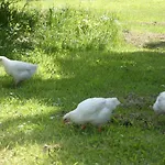 Le De La Ferme Feugere Barbeville